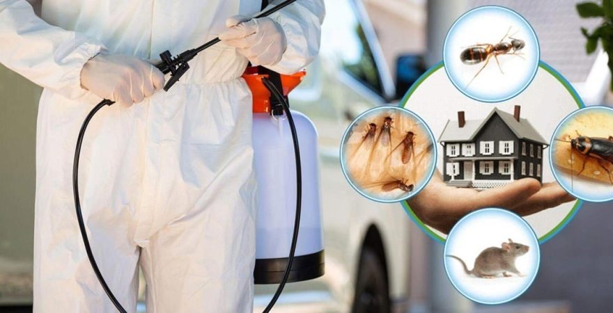 Yamanlar Böcek İlaçlama